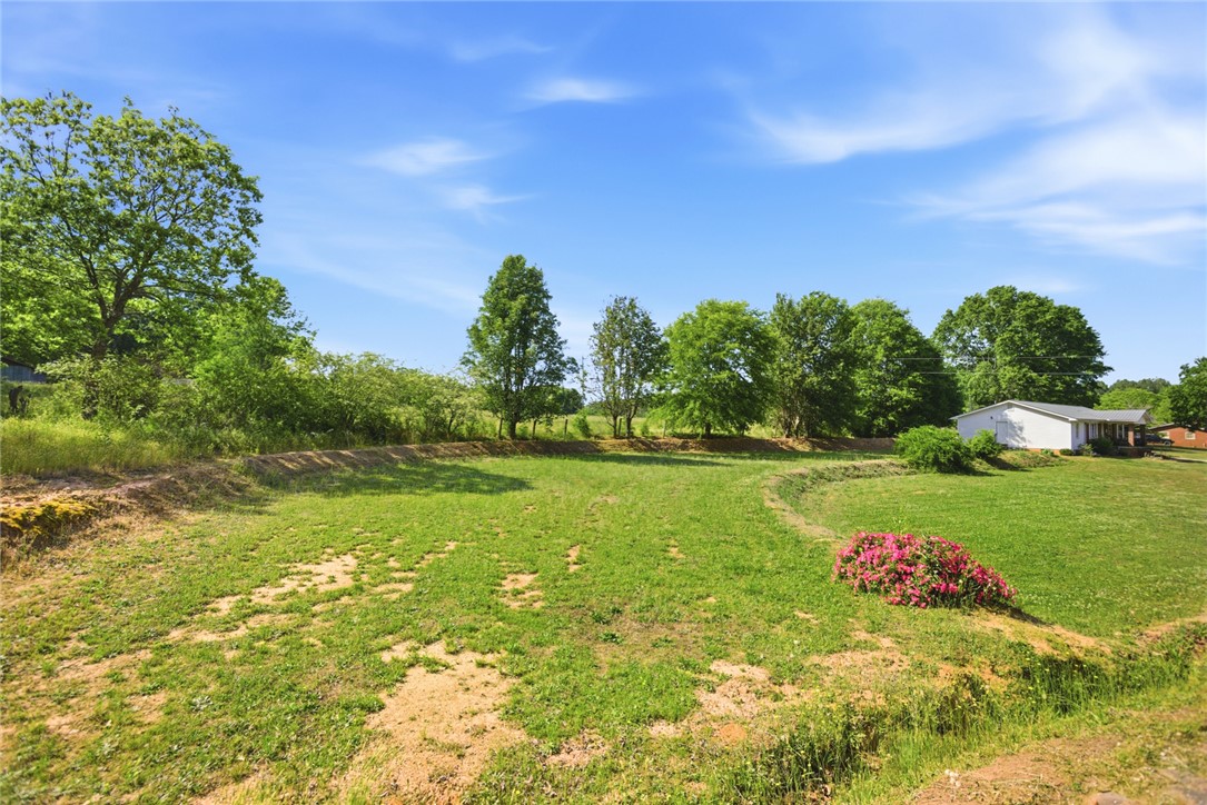 282 West Bennett Road Westminster, SC 29693 - Photo 39 of 42 Expansive green yard with vibrant trees under a clear sky.
