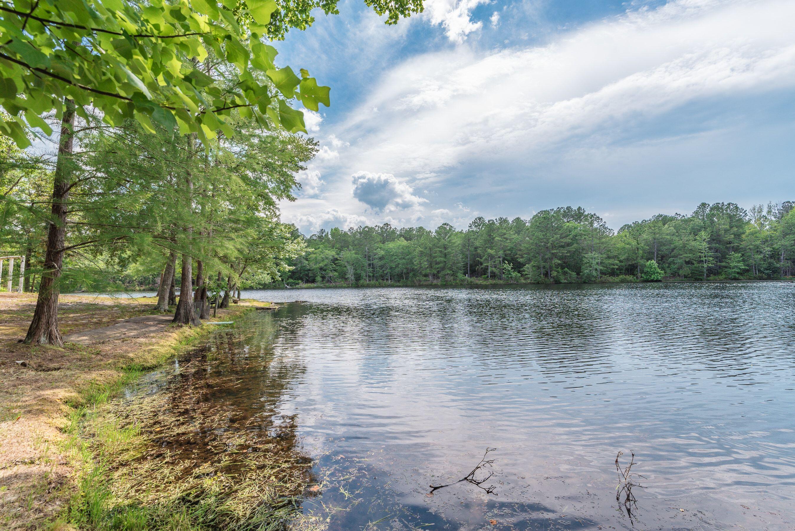 1366 Cummings Road Ridge Spring, SC 29129 - Photo 41 of 150