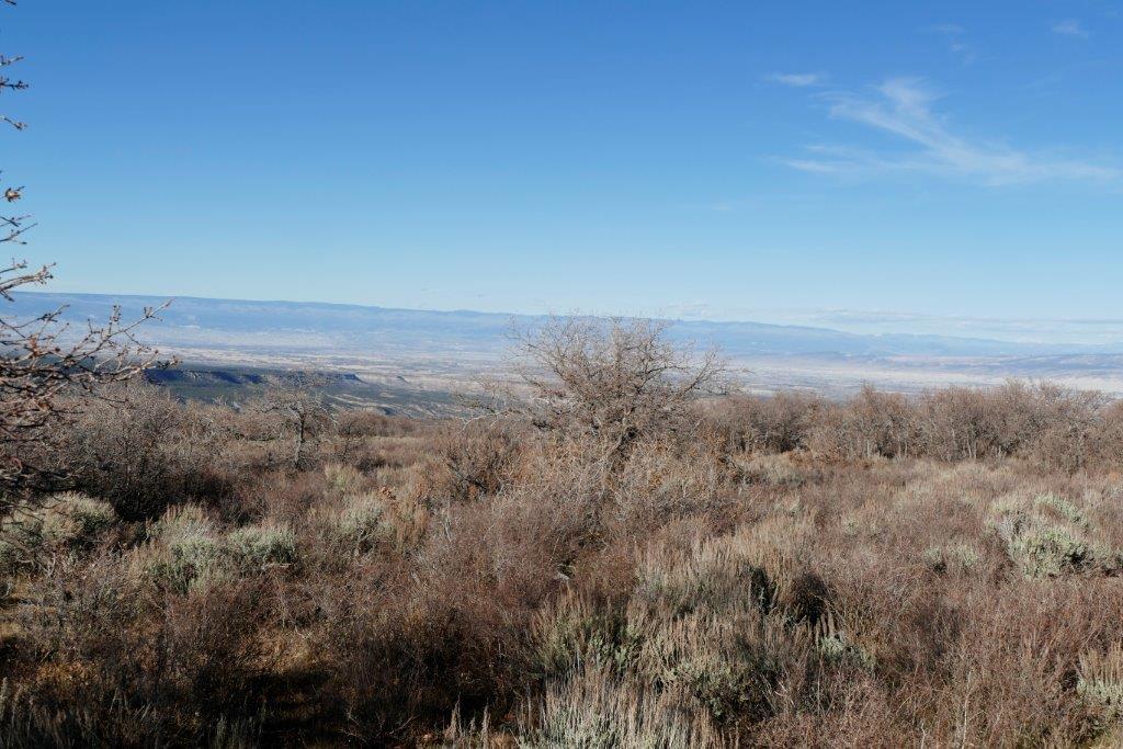 Tbd Tbd 90th Road Montrose, CO 81403 - Photo 10 of 13 _1070286