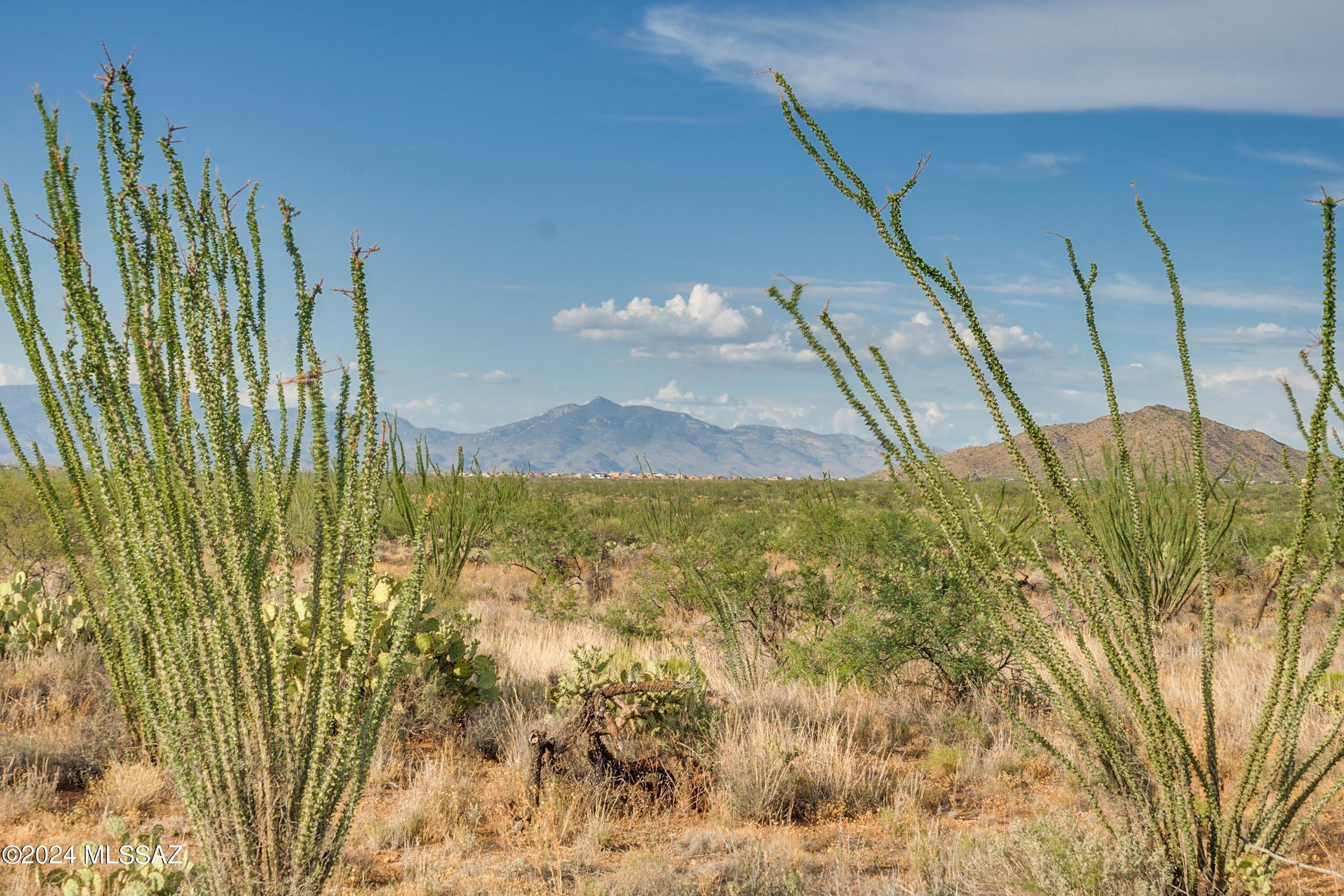 9783 East Ocotillo Rim Trail Vail, AZ 85641 - Photo 21 of 24 Gallery Image 21