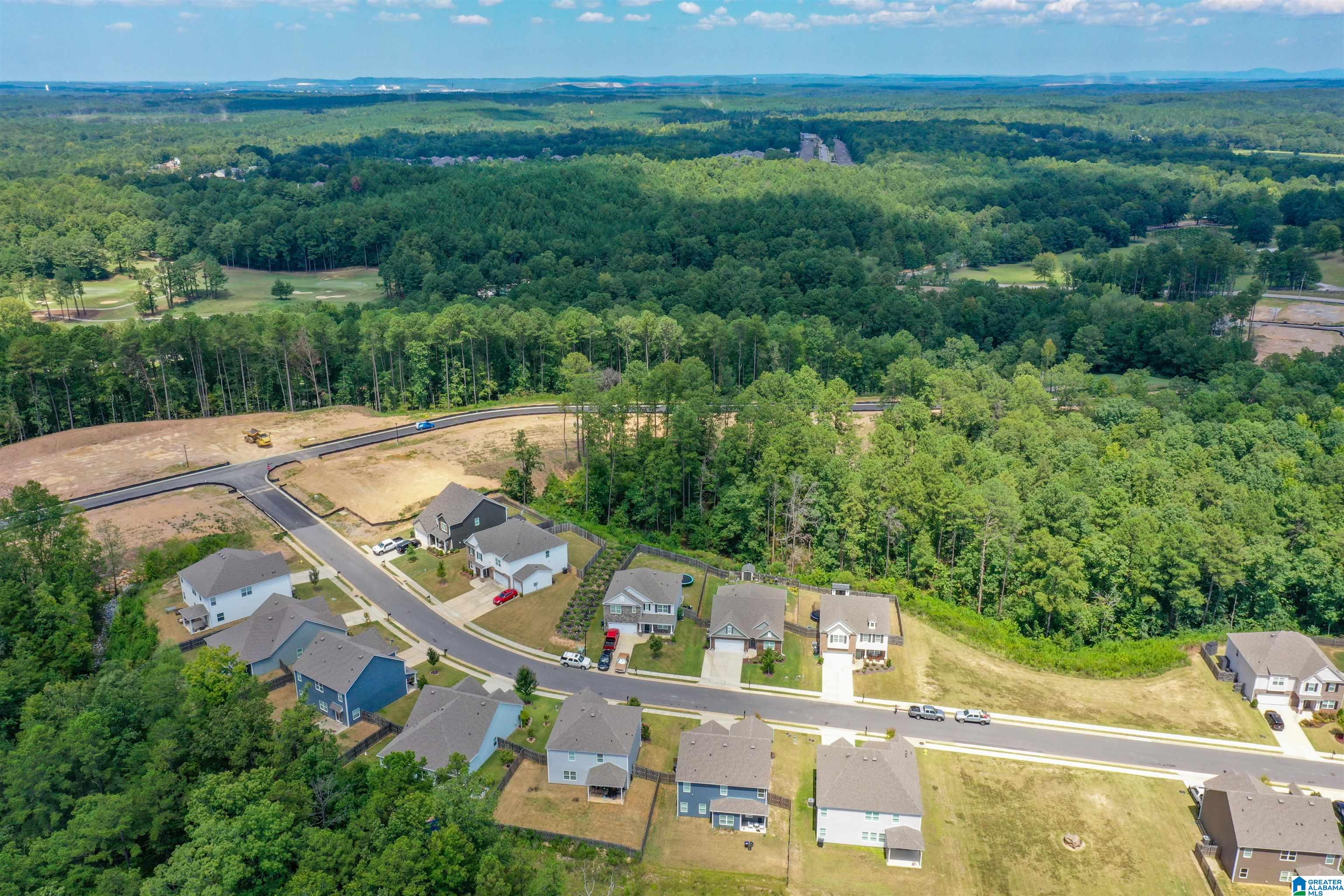 1180 Merion Drive Calera, AL 35040 - Photo 63 of 75