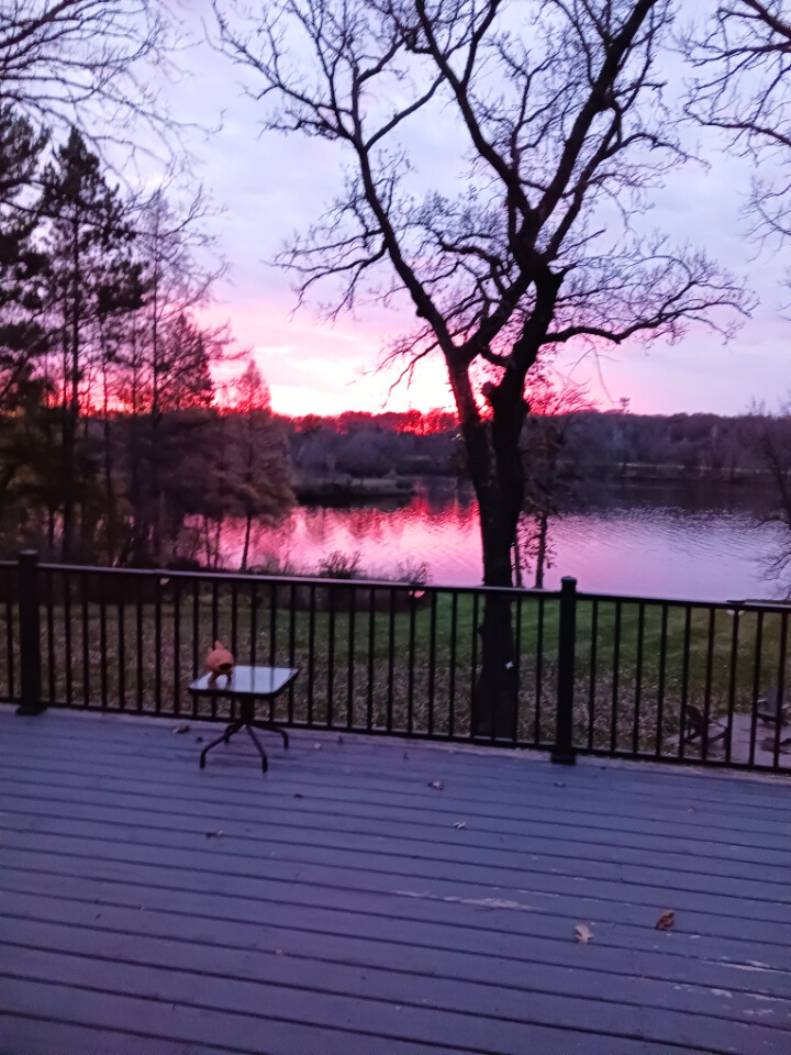 12623 Hillton Road Little Falls, MN 56345 - Photo 2 of 39