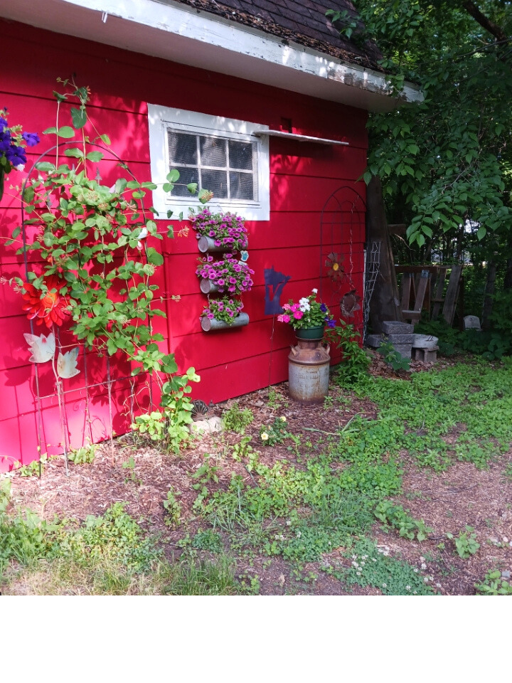 12623 Hillton Road Little Falls, MN 56345 - Photo 36 of 39