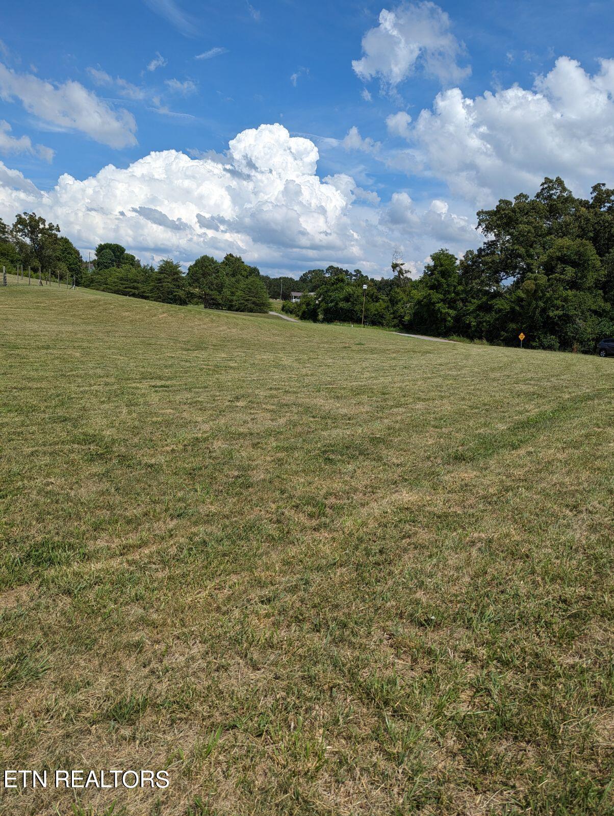 Foster Road Blaine, TN 37709 - Photo 1 of 3 1000000536