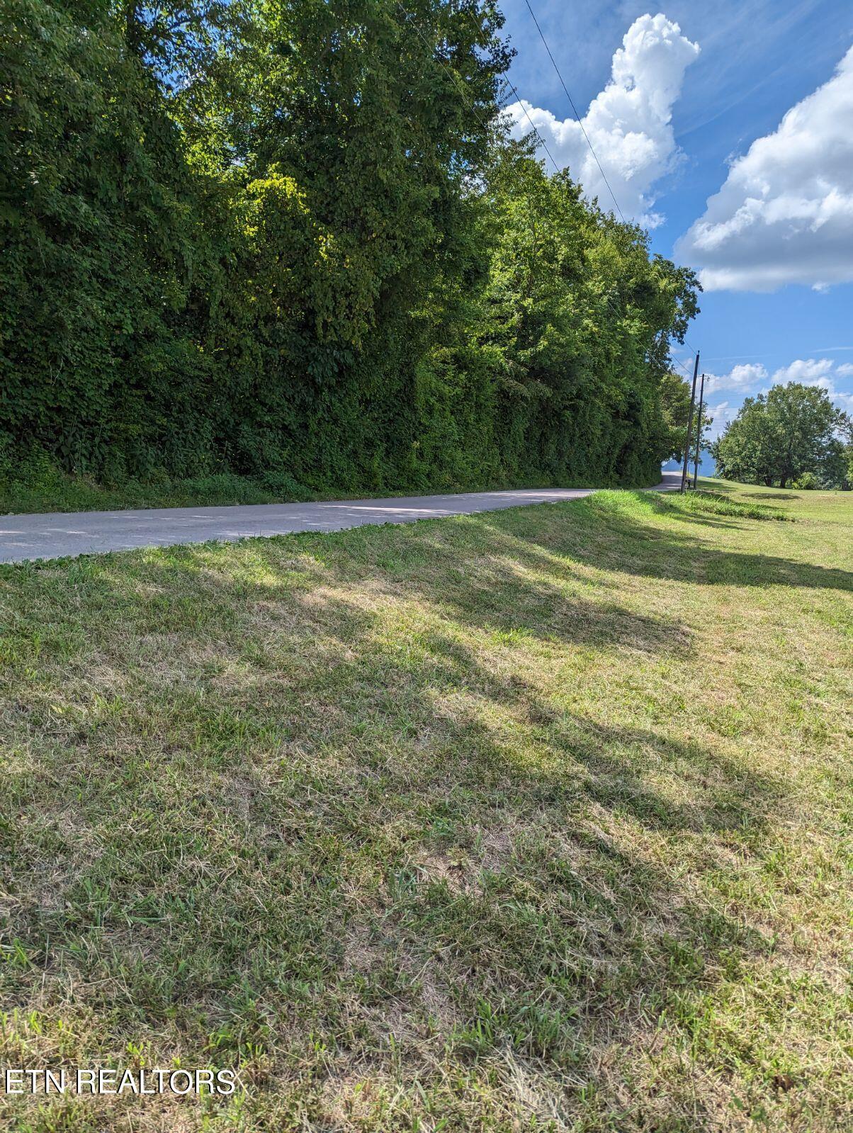 Foster Road Blaine, TN 37709 - Photo 3 of 3 1000000538