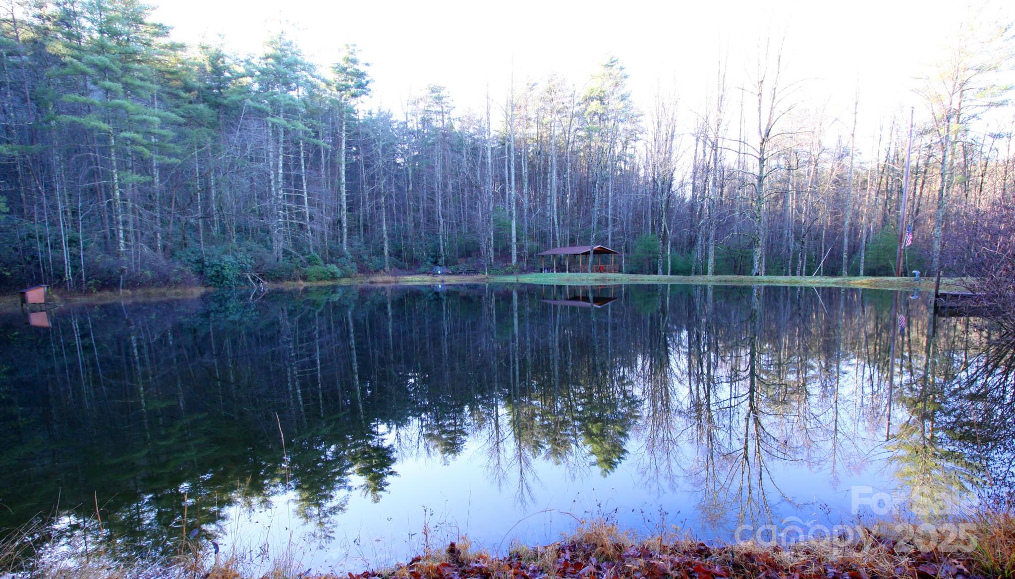 Lot 16 Arrowhead Ridge, Unit 16R Brevard, NC 28712 - Photo 16 of 18 a view of a lake view with plants and trees in the background