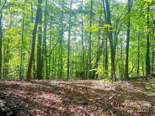 a view of outdoor space and trees