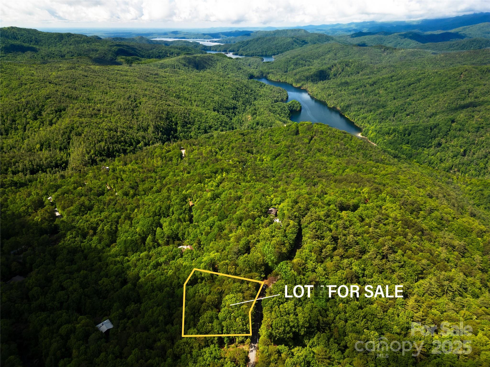 Lot 16 Arrowhead Ridge, Unit 16R Brevard, NC 28712 - Photo 5 of 18 a view of a lush green forest with lots of trees