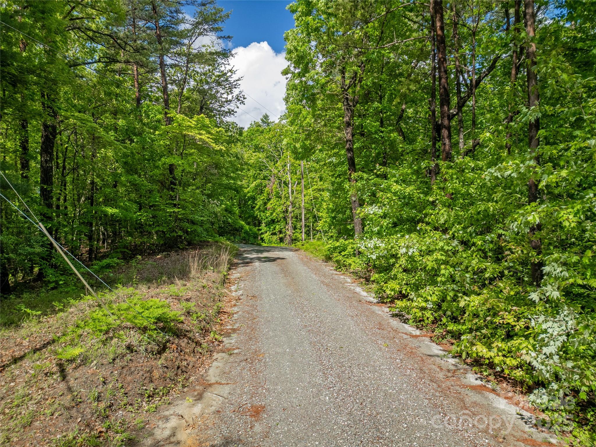 Lot 16 Arrowhead Ridge, Unit 16R Brevard, NC 28712 - Photo 6 of 18 a view of a garden with a bench