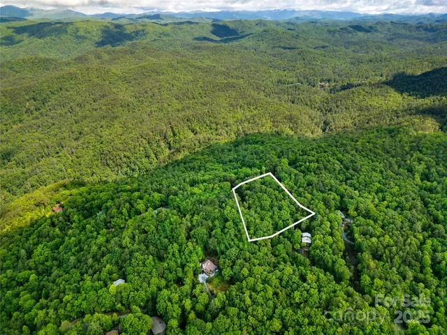a view of a field of grass and trees