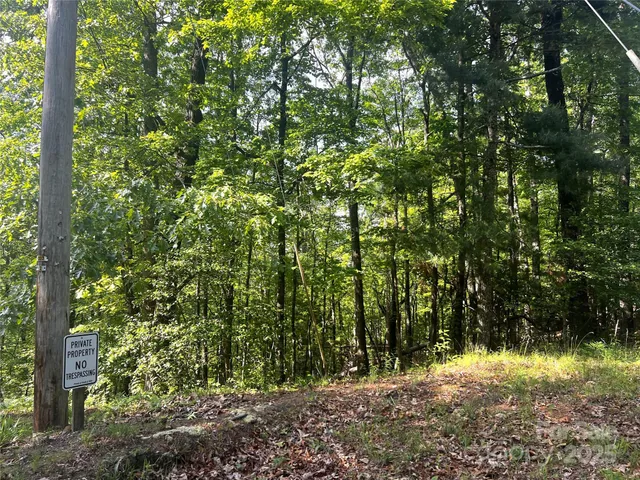 a view of a yard with a tree