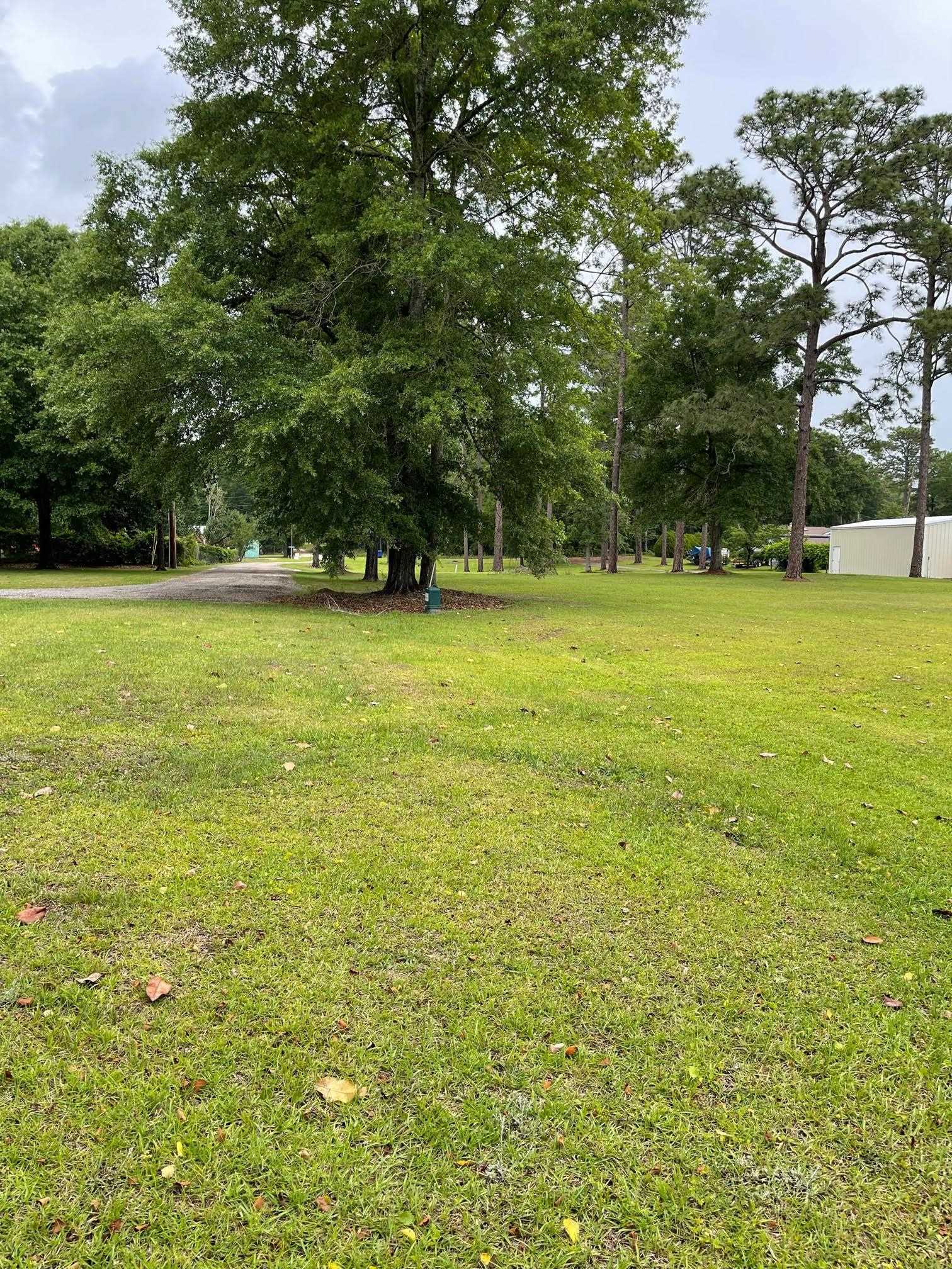 29464 Indian Springs Loop Andalusia, AL 36421 - Photo 9 of 20 Gallery Image 9