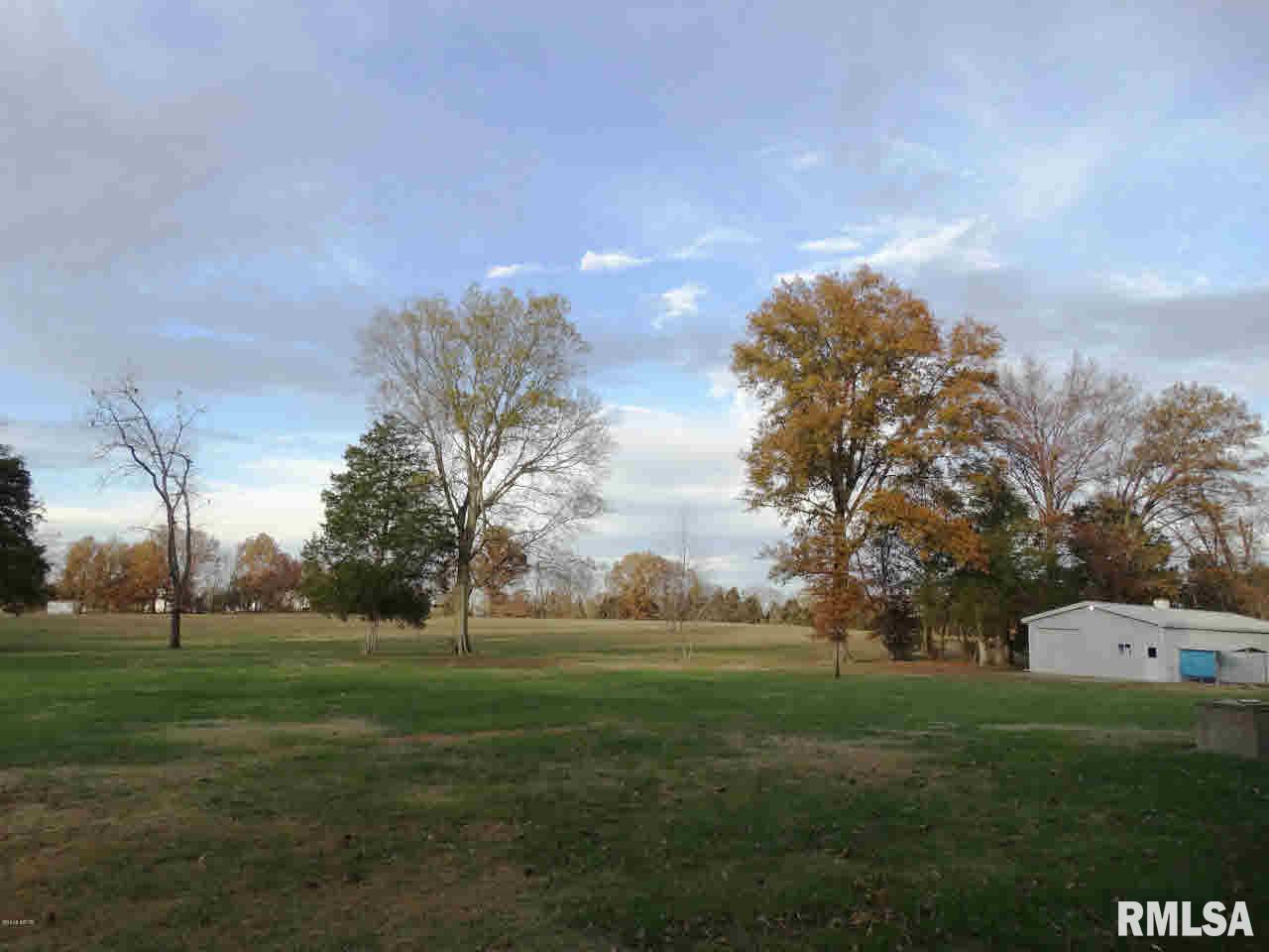 6734 Saline River Road Marion, IL 62959 - Photo 4 of 41 Gallery Image 4