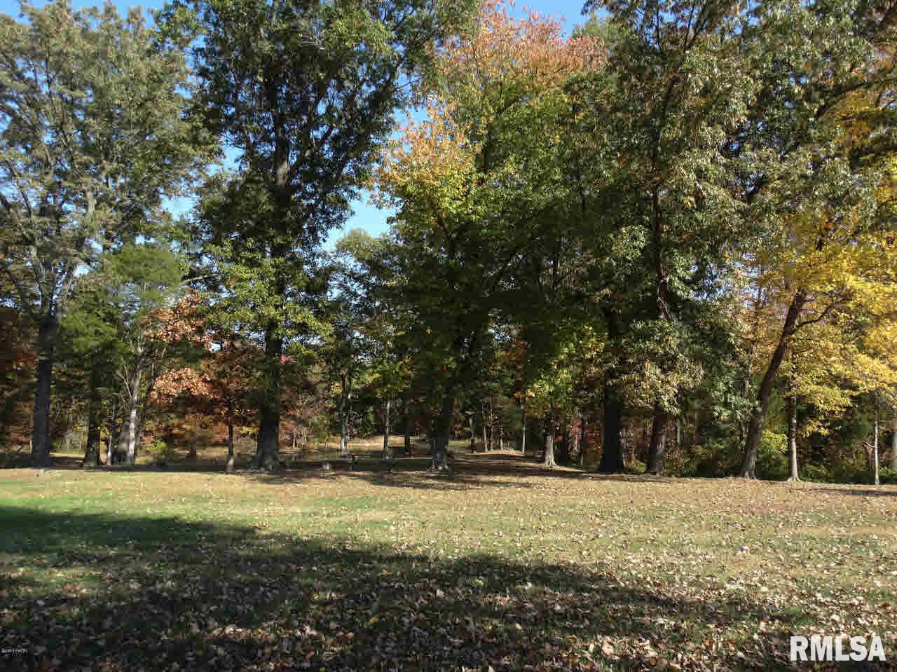 6734 Saline River Road Marion, IL 62959 - Photo 5 of 41 Gallery Image 5