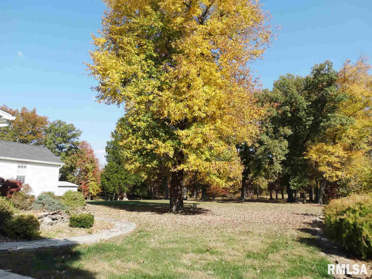 6734 Saline River Road Marion, IL 62959 - Photo 8 of 41 Gallery Image 8