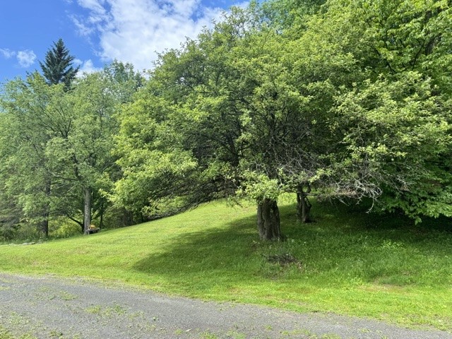 228 Staab Road Roxbury, NY 12474 - Photo 31 of 31
