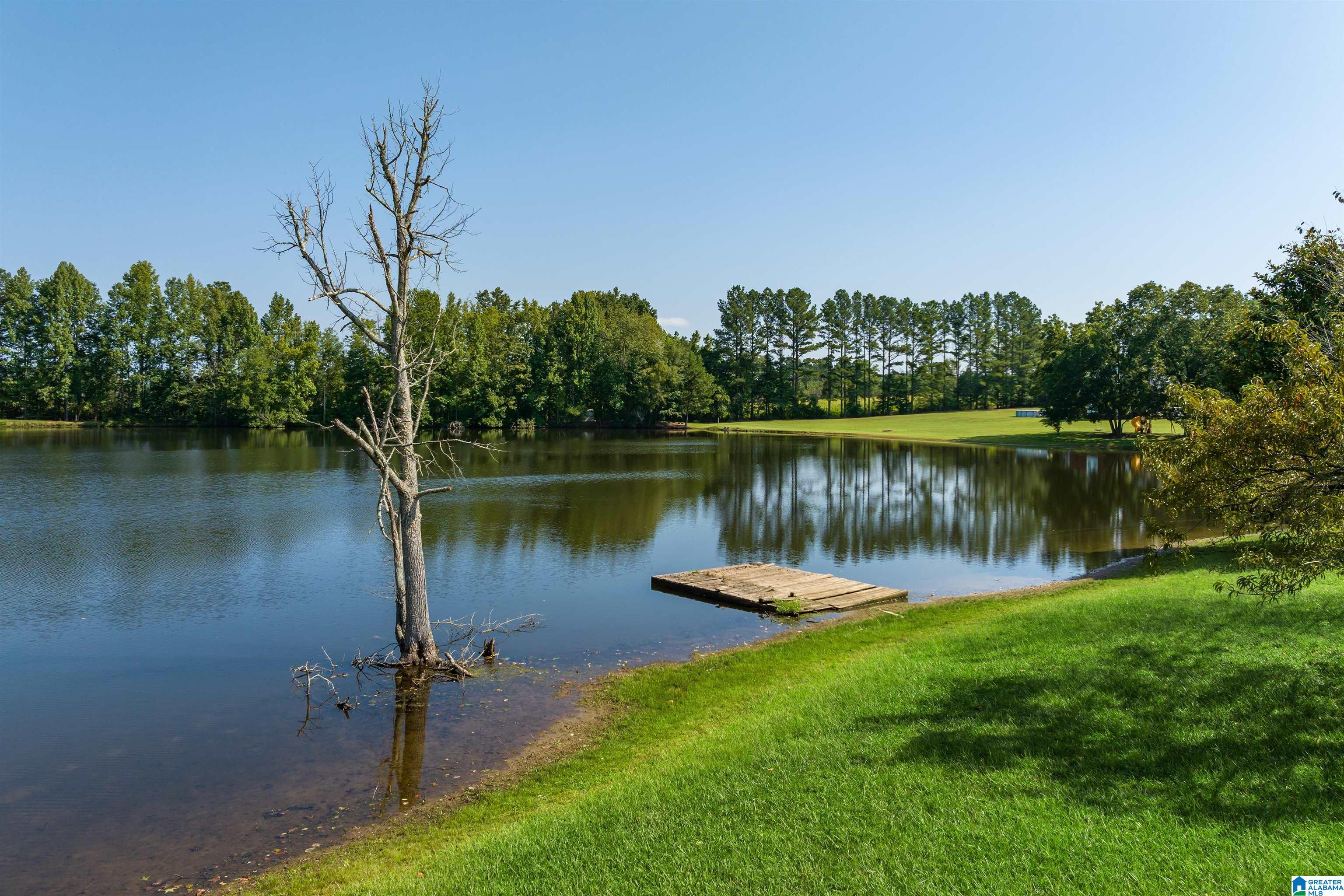 331 Johnson Drive Cleveland, AL 35049 - Photo 36 of 42