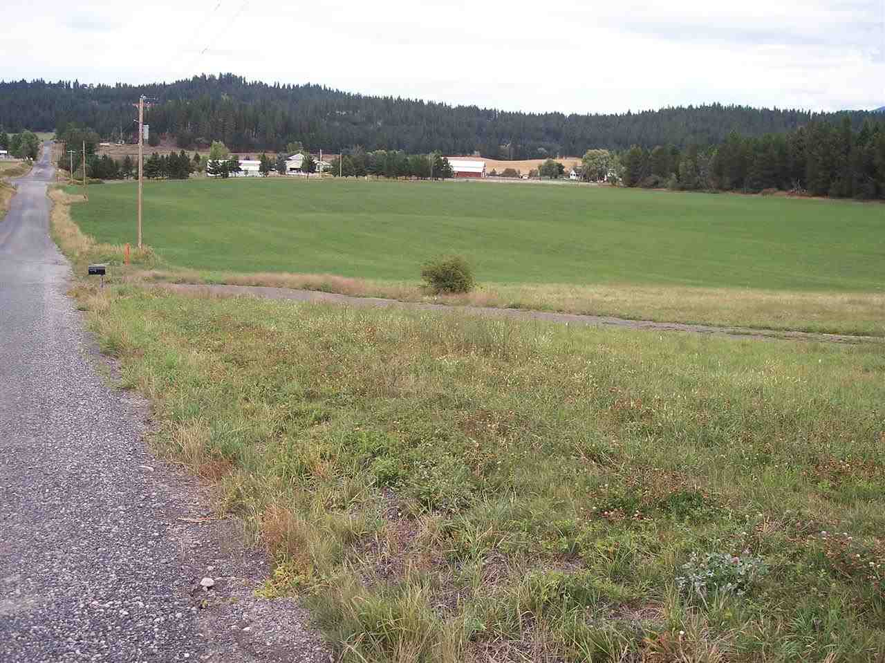 9100 East Woolard Road Colbert, WA 99005 - Photo 2 of 5