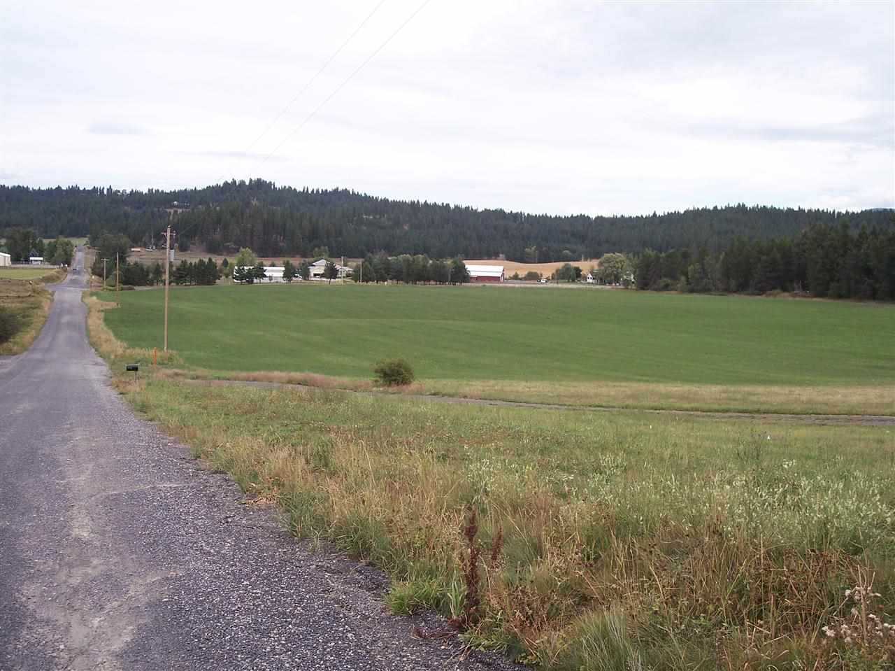 9100 East Woolard Road Colbert, WA 99005 - Photo 3 of 5