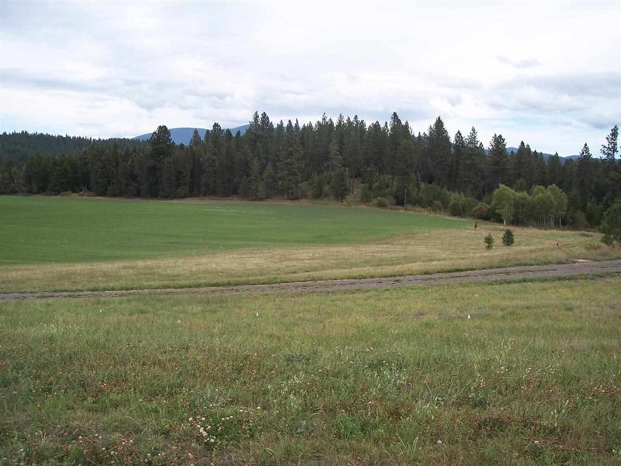 9100 East Woolard Road Colbert, WA 99005 - Photo 4 of 5