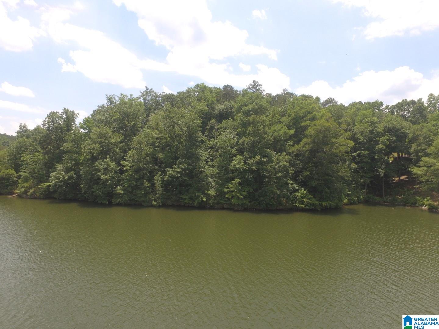 Brookwater Way, Unit 1 4 Wedowee, AL 36278 - Photo 1 of 13