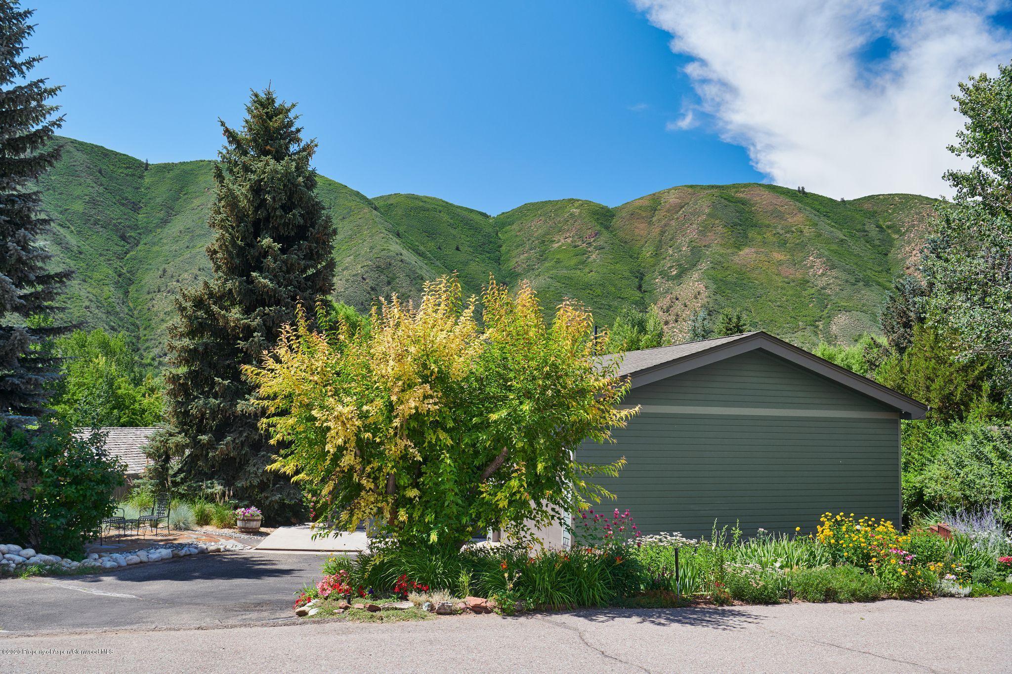 269 Holland Hills Road Basalt, CO 81621 - Photo 18 of 23 a view of a house with a yard and plants