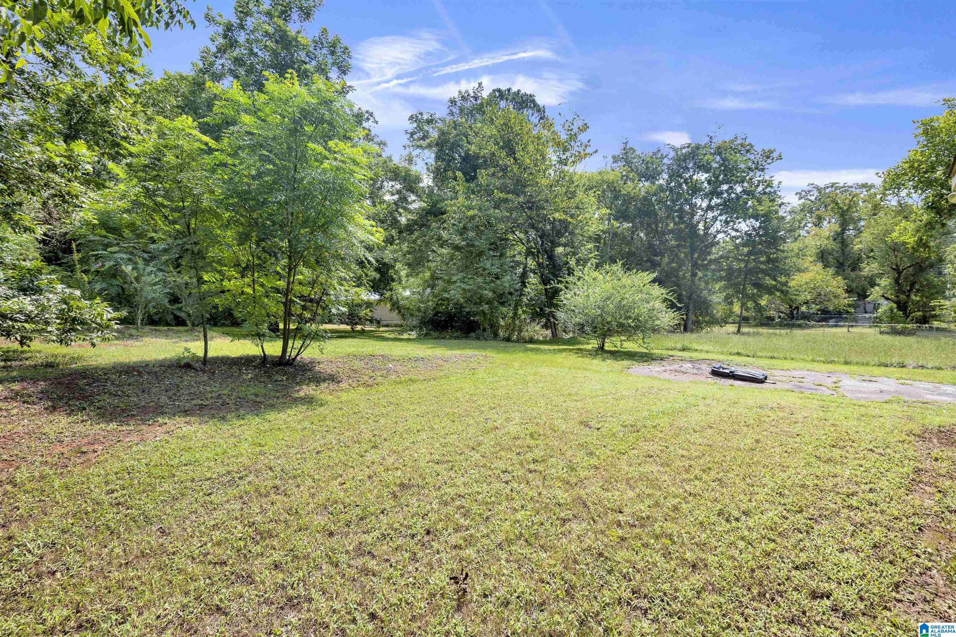 100 Salem Road Montevallo, AL 35115 - Photo 22 of 25