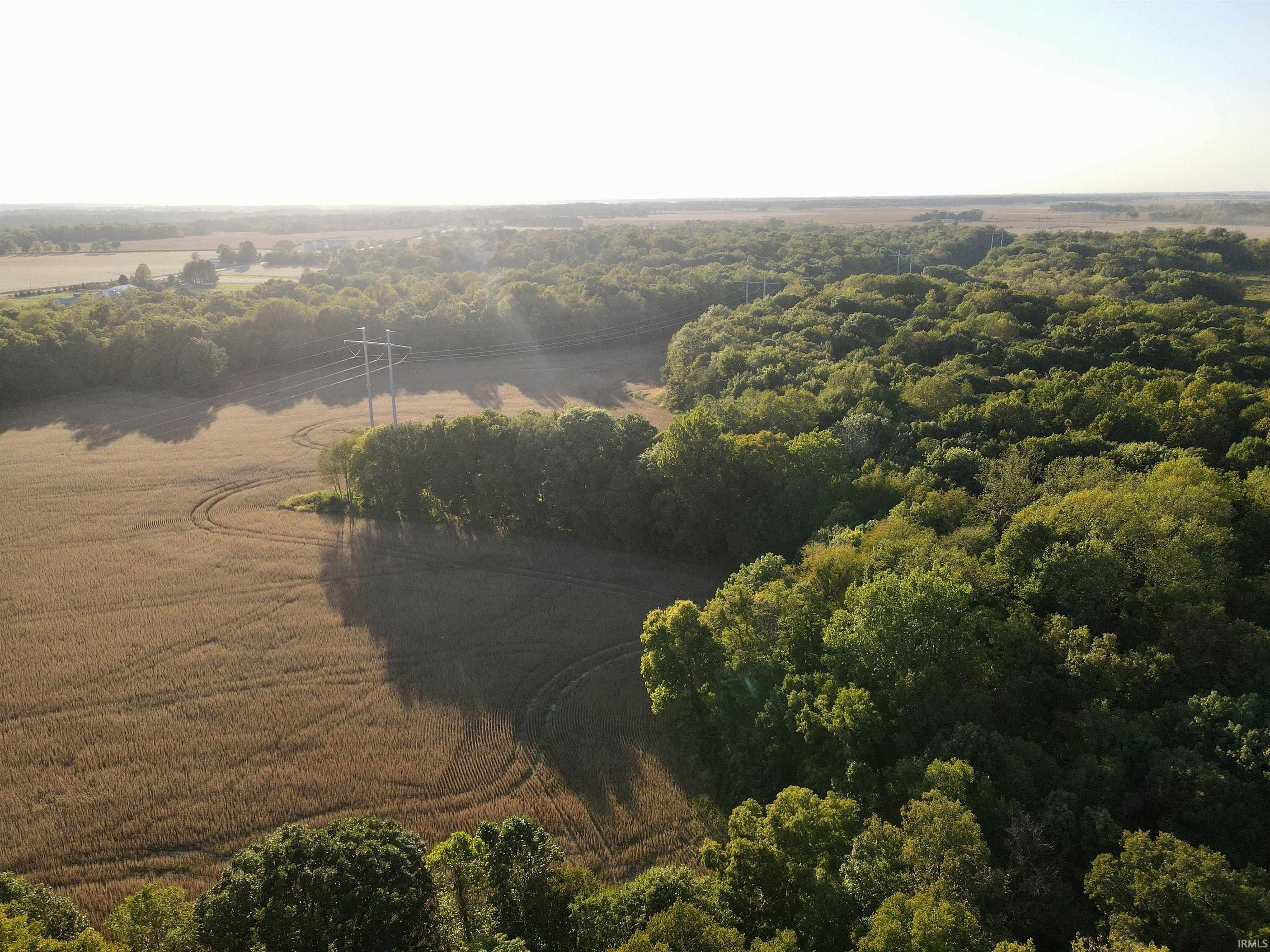 234 State Road Cayuga, IN 47928 - Photo 11 of 21
