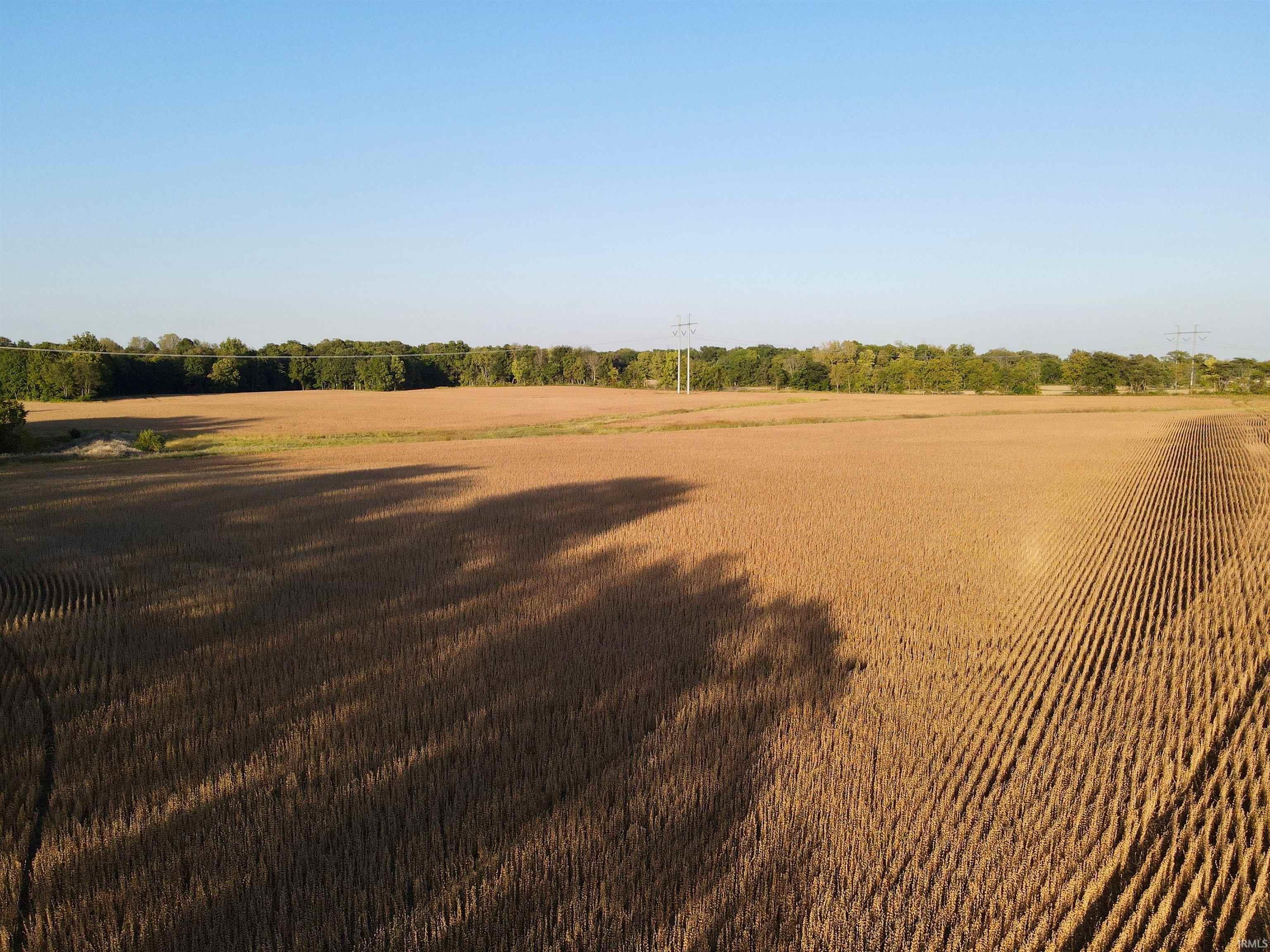 234 State Road Cayuga, IN 47928 - Photo 19 of 21