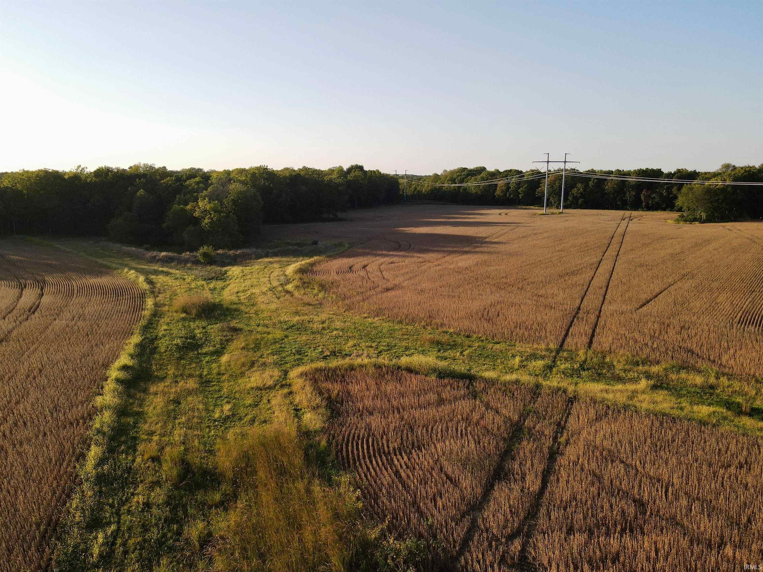 234 State Road Cayuga, IN 47928 - Photo 2 of 21