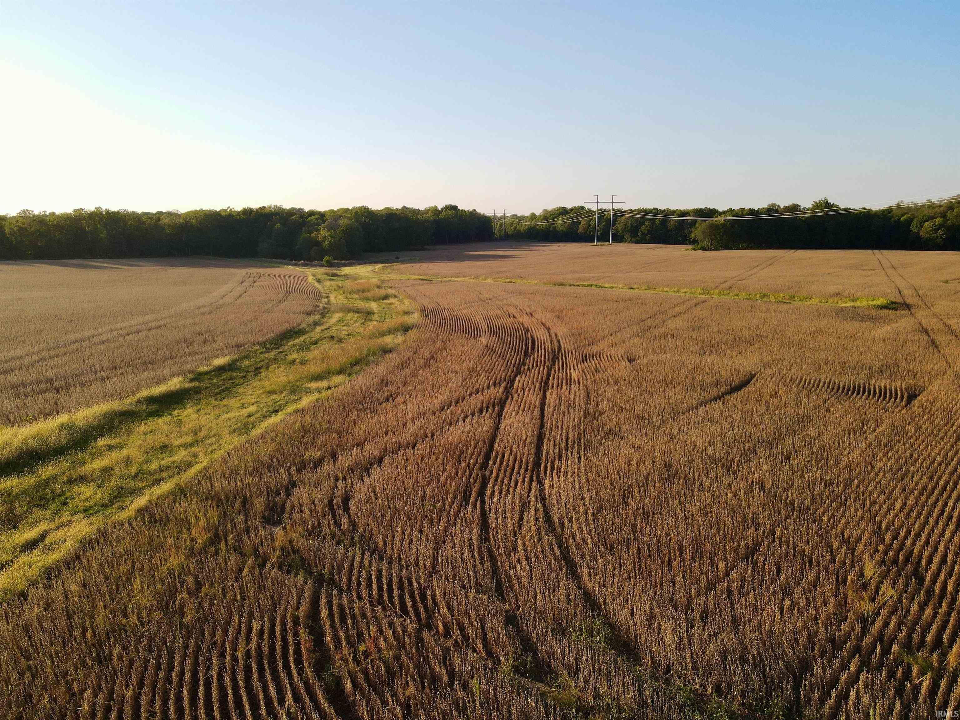 234 State Road Cayuga, IN 47928 - Photo 3 of 21