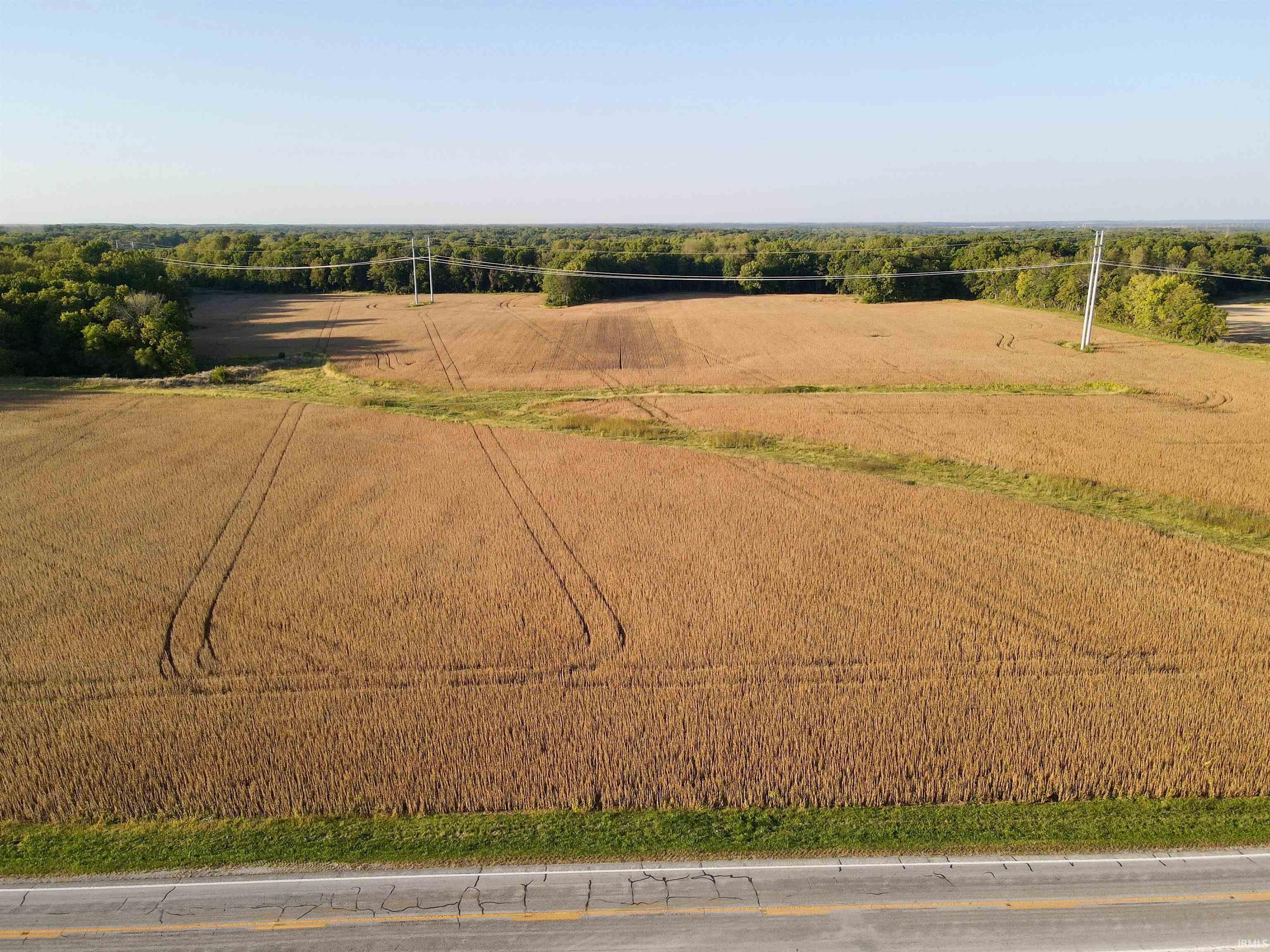 234 State Road Cayuga, IN 47928 - Photo 7 of 21