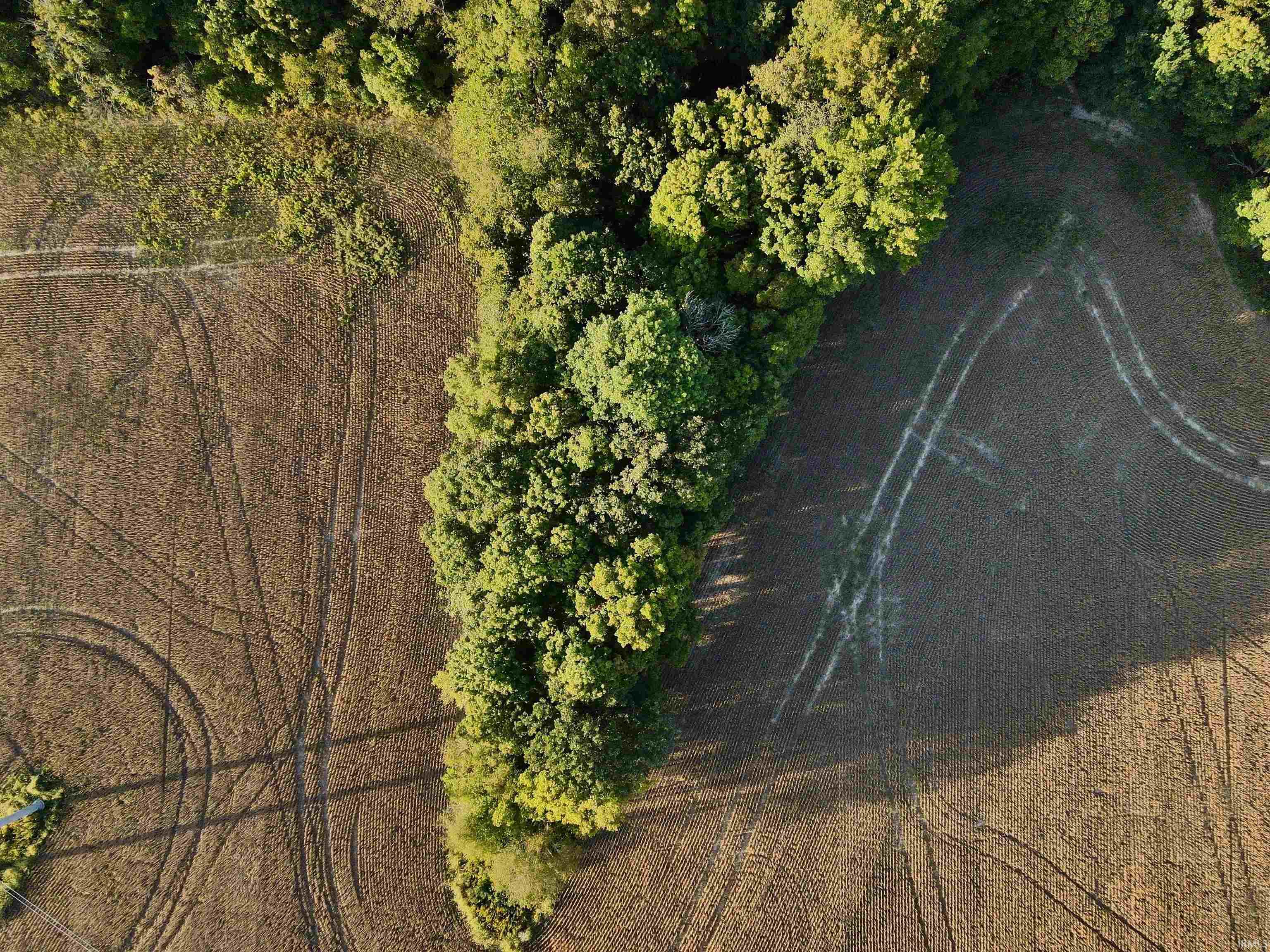 234 State Road Cayuga, IN 47928 - Photo 10 of 21