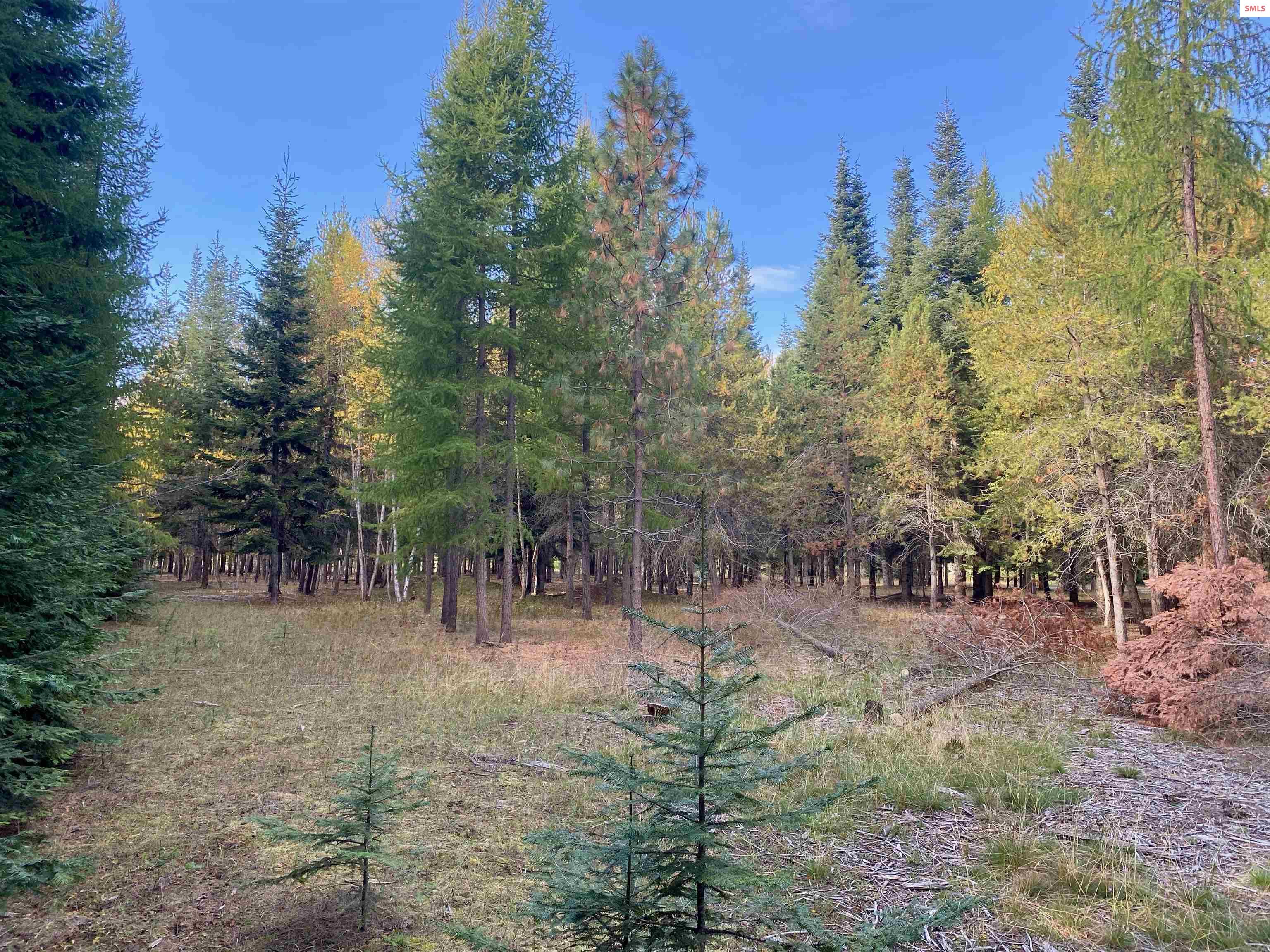 Nna Cougar Road Naples, ID 83847 - Photo 25 of 43 Gallery Image 25