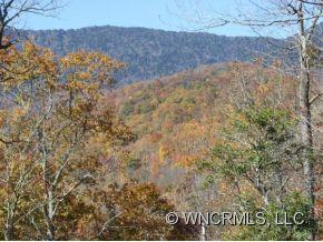 157 Rhododendron Park Road Burnsville, NC 28714 - Photo 18 of 24 Gallery Image 18