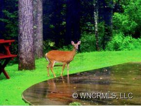 157 Rhododendron Park Road Burnsville, NC 28714 - Photo 24 of 24 Gallery Image 24