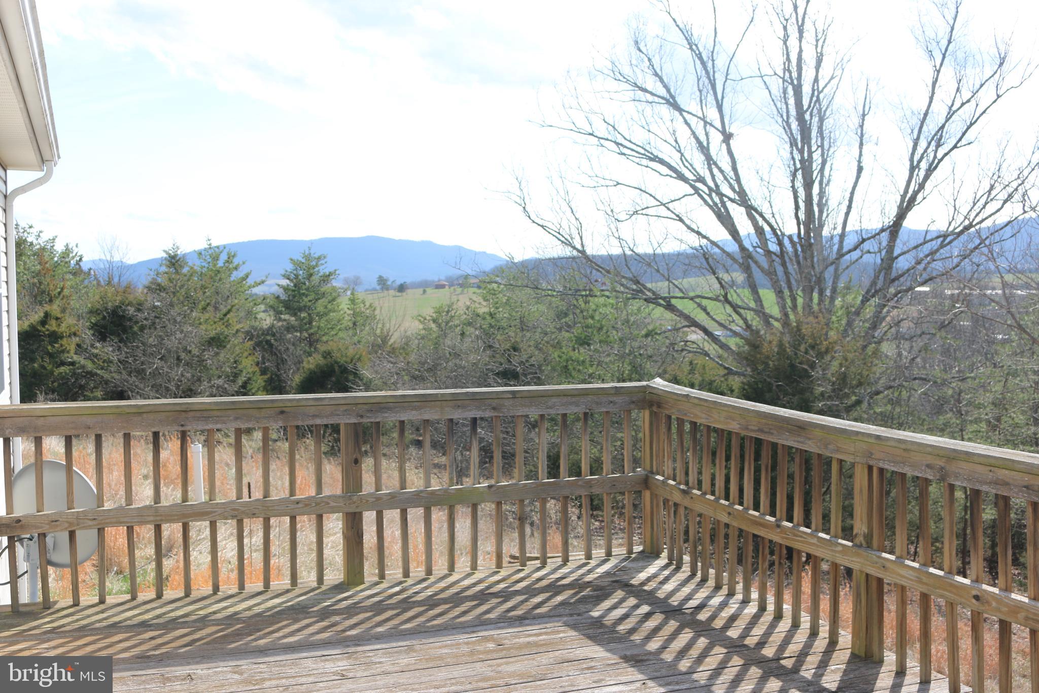 156 Squirrel Den Road Maysville, WV 26833 - Photo 3 of 41