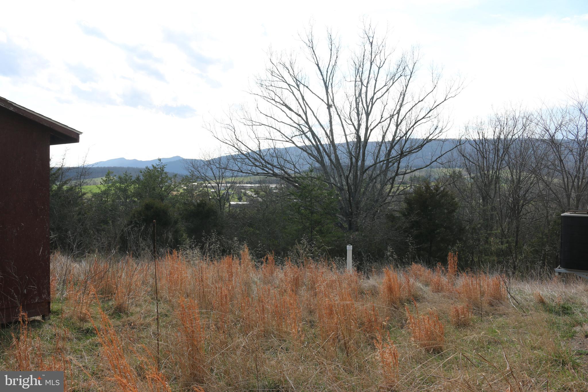 156 Squirrel Den Road Maysville, WV 26833 - Photo 36 of 41