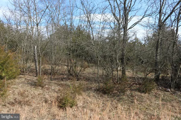 $215,000 | 156 Squirrel Den Road, Maysville, WV 26833