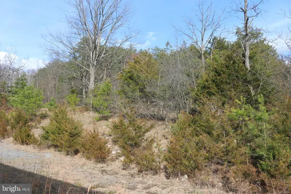 $215,000 | 156 Squirrel Den Road, Maysville, WV 26833