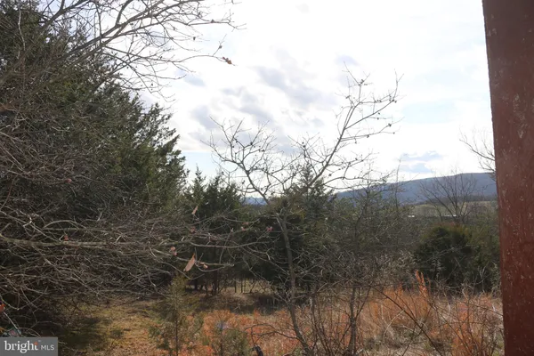 $215,000 | 156 Squirrel Den Road, Maysville, WV 26833