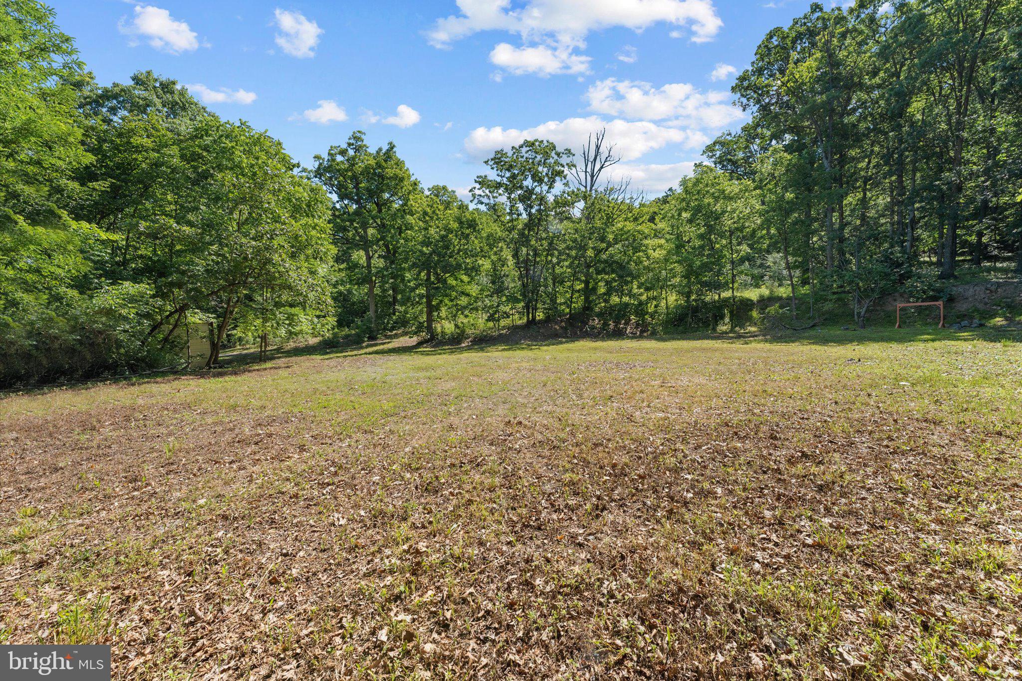 202 Cedar Grove Road Winchester, VA 22603 - Photo 17 of 21 Serene clearing amidst lush greenery.