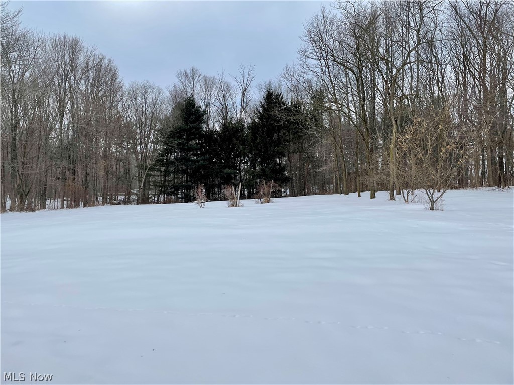 15134 West Middletown Road Beloit, OH 44609 - Photo 31 of 32