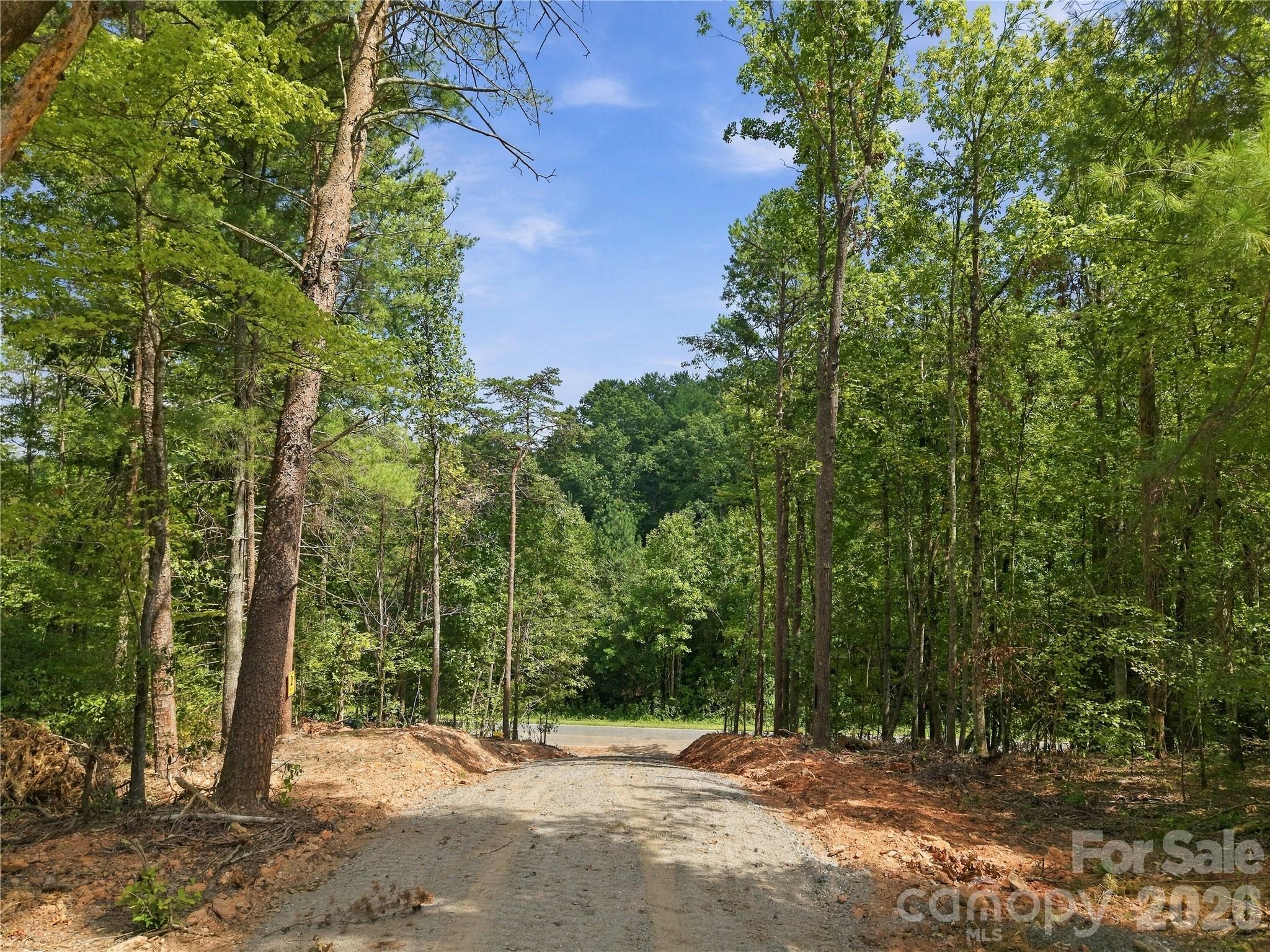 Tbd Gus Peeler Road, Unit 2 Connelly Springs, NC 28612 - Photo 1 of 17 Gallery Image 1