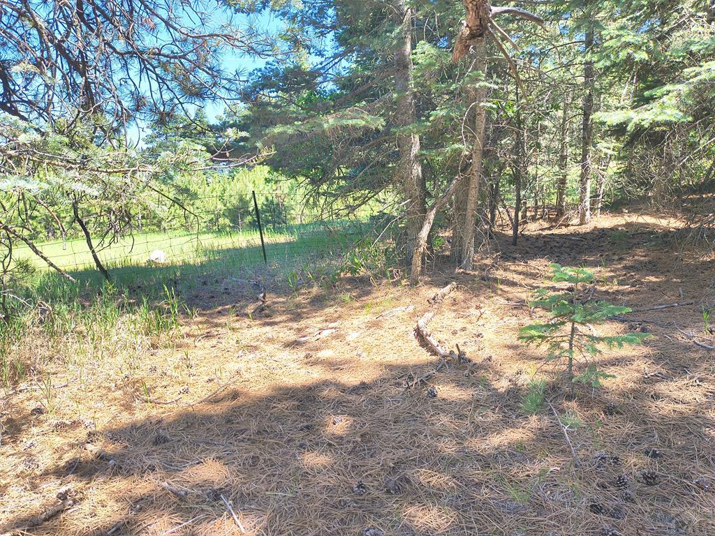 10940 Bartlett Trail Rye, CO 81069 - Photo 12 of 17