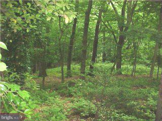 210 Righters Mill Road Penn Valley, PA 19072 - Photo 3 of 6 Gallery Image 3