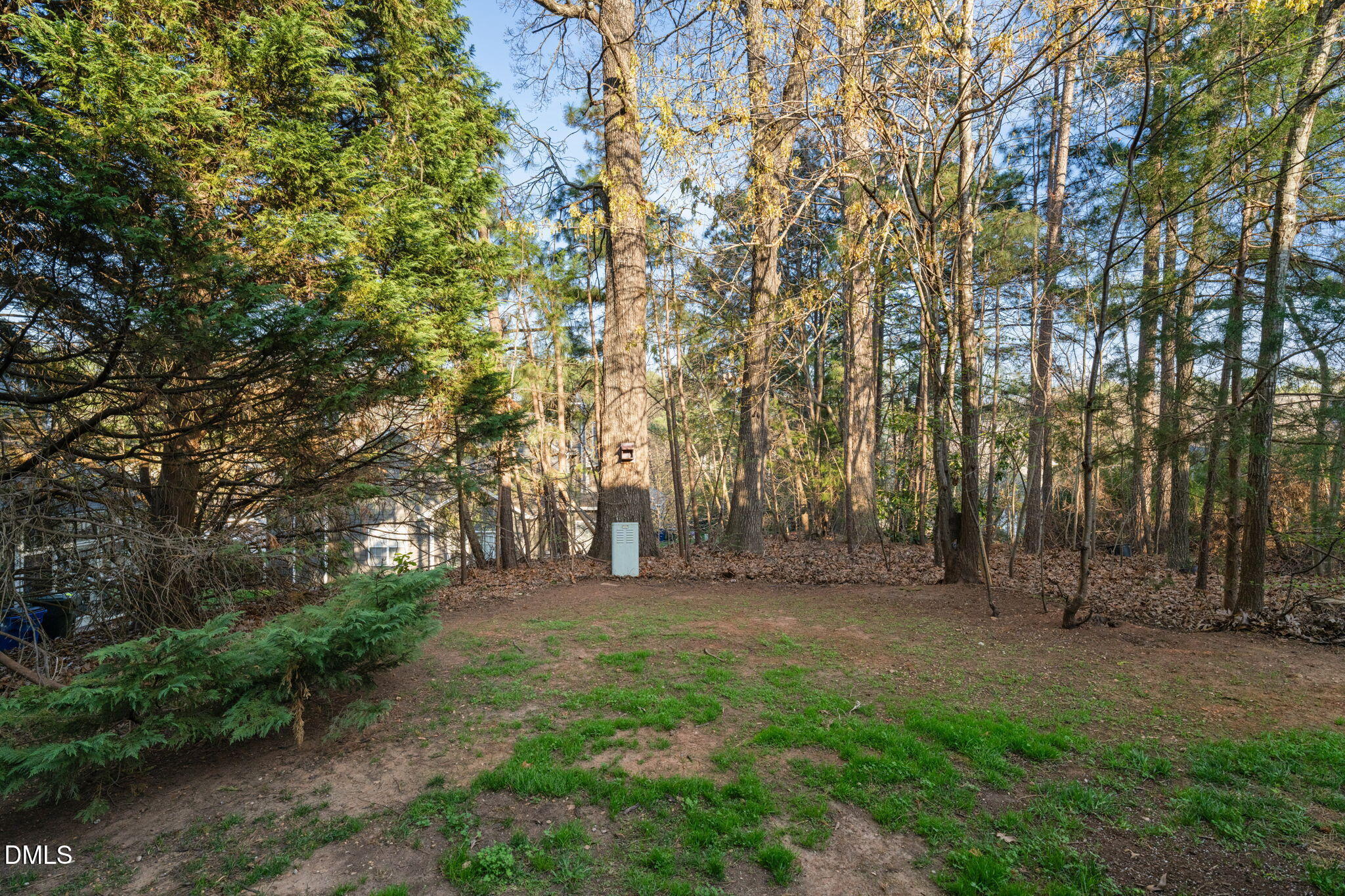 4601 Pine Trace Drive Raleigh, NC 27613 - Photo 34 of 38 a view of a forest with trees in the background
