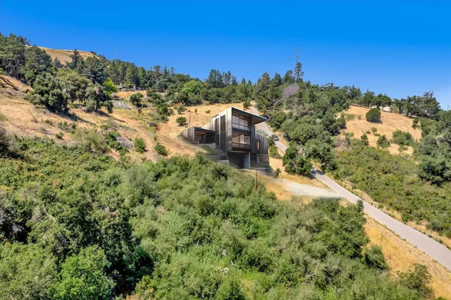 a view of a forest with a forest