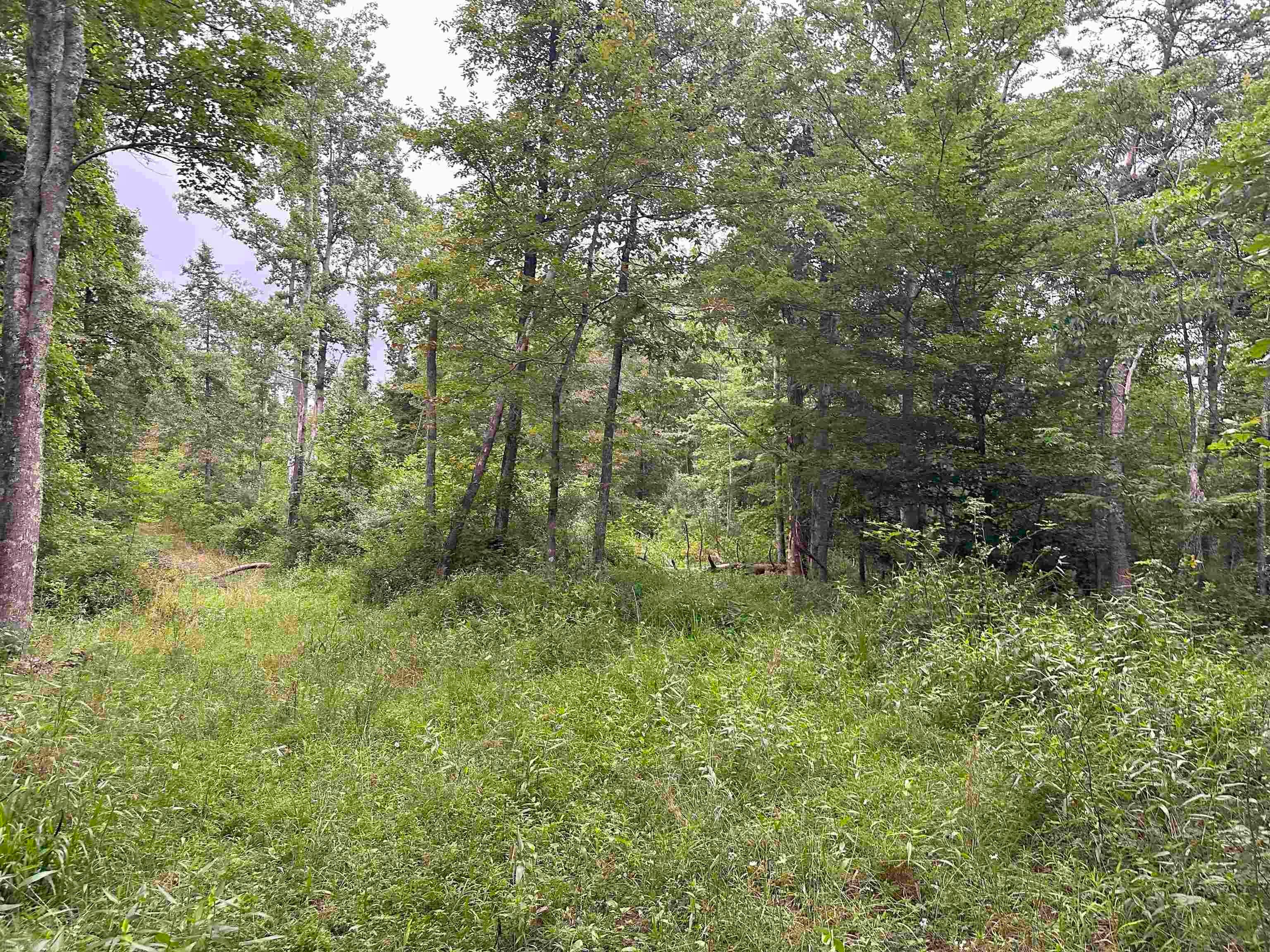 Tbd Claytor Road Northeast Pilot, VA 24138 - Photo 7 of 16 Gallery Image 7