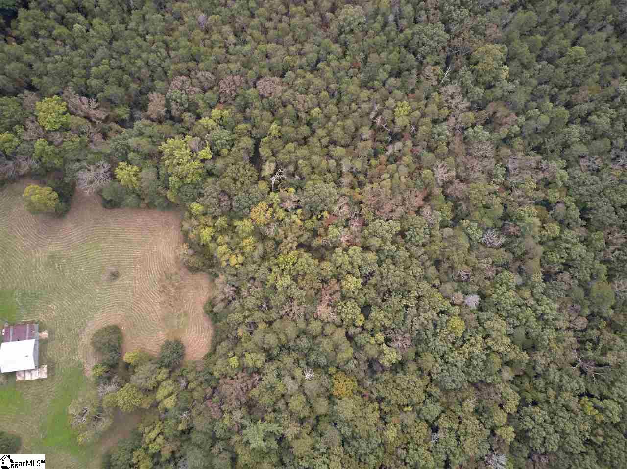 175 Forest Dale Road Marietta, SC 29661 - Photo 30 of 36